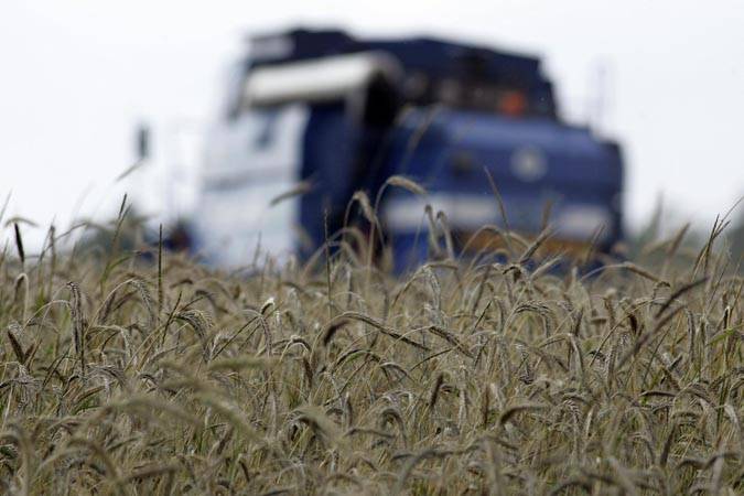 Производство сельхозпродукции в Беларуси значительно выросло