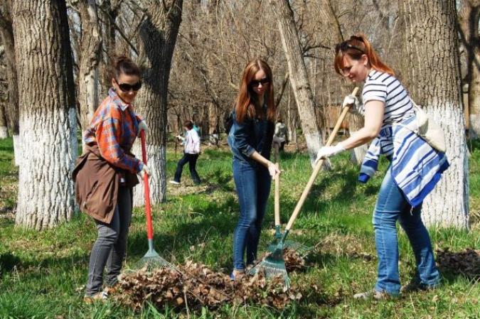 Белстат сообщил результаты проведения республиканского субботника