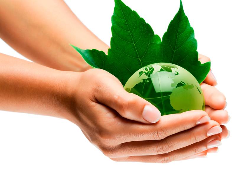 В Беларуси построят предприятие по утилизации стойких органических загрязнителей 