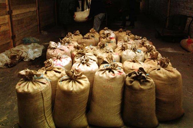 Экспорт белорусской сельхозпродукции за пять лет вырос практически на 30%