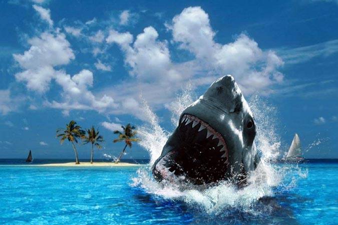 О подходах к управлению кредитным риском в организациях в соответствии с МСФО (IFRS) 9 «Финансовые инструменты»