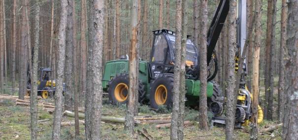 «Амкодор» приступил к строительству завода в Карелии