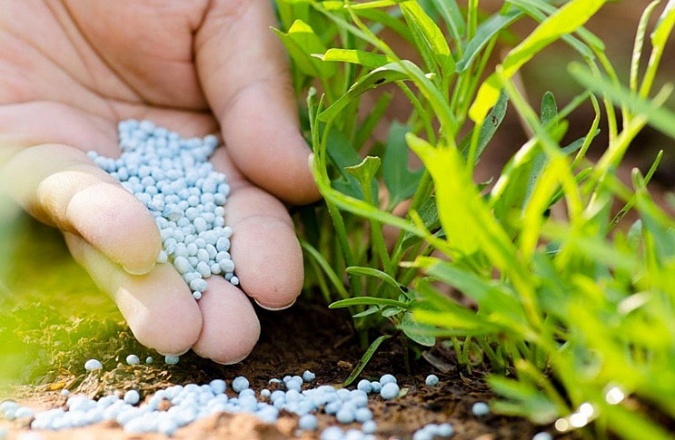 Украинская экономика может потерять более 200 млн USD из-за квот на импорт минеральных удобрений