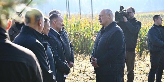 Президент Беларуси Александр Лукашенко 12 октября в ходе рабочей поездки в Минский район ознакомился с проведением эксперимента по повышению плодородия песчаных почв и сложных земель, в том числе за счет использования органических удобрений