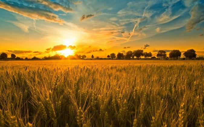 Беларусь признали лучшей страной для агротуризма