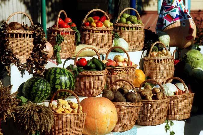 Сумма господдержки на закладку новых плодовых садов увеличена Сумма господдержки на закладку новых плодовых садов увеличена