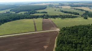 Скорректирована типовая форма договора аренды земельного участка, находящегося в госсобственности