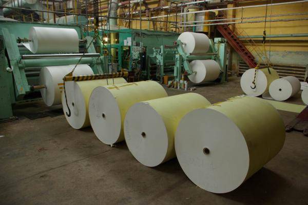 Предприятия «Беллесубмпрома» нарастили производство импортозамещающей продукции