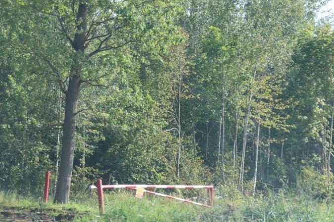 В семи районах Беларуси введены запреты на посещение лесов