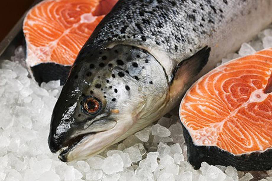 Некоторые рыбоводные хозяйства Беларуси получат субсидии на уплату части процентов за пользование кредитами