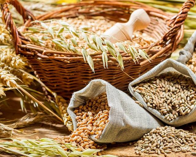 В Беларуси введен запрет на вывоз продуктов зернопереработки и 254 вида промышленных товаров В Беларуси введен запрет на вывоз продуктов зернопереработки и 254 вида промышленных товаров