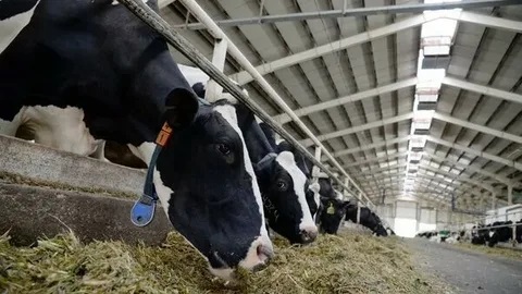 О доплатах отдельным категориям работников агропромышленного комплекса