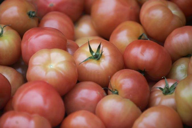 Минсельхозпрод и Всемирный банк обсудили вопросы внедрения кластерной системы в Беларуси