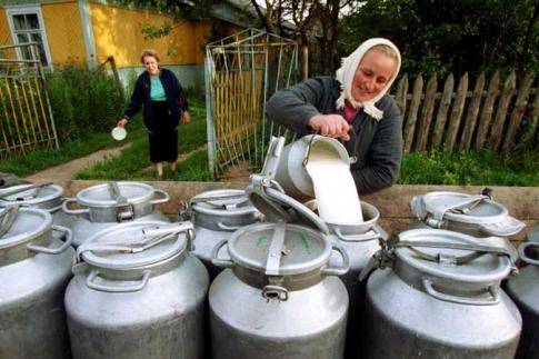 Россельхознадзор отменил запрет на поставки молока из Беларуси и утвердил перечень поставщиков