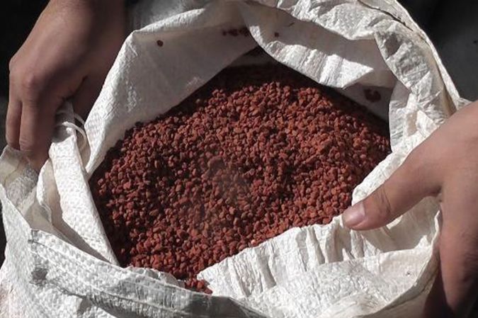 «Беларуськалий» увеличил в июне объем поставок удобрений на 16,9%